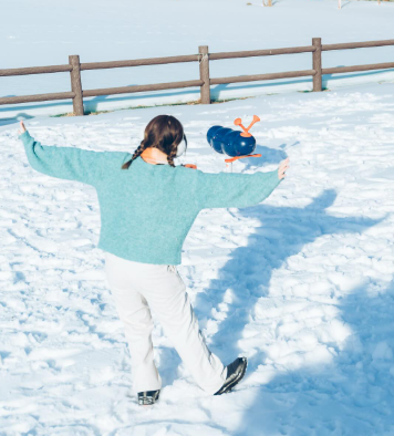 常陸の気象初心者くるみっち